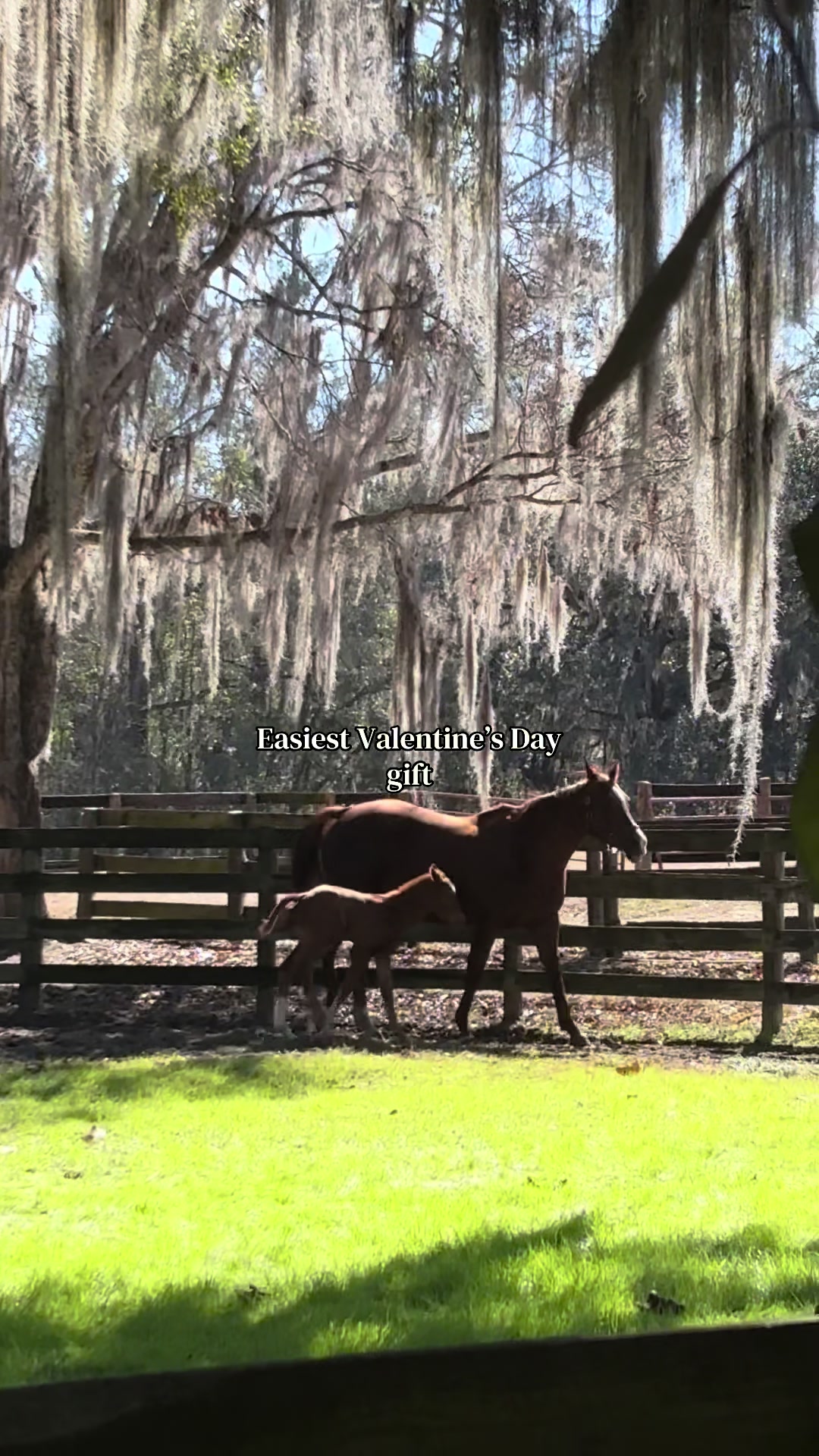 @countryroots_6_7_