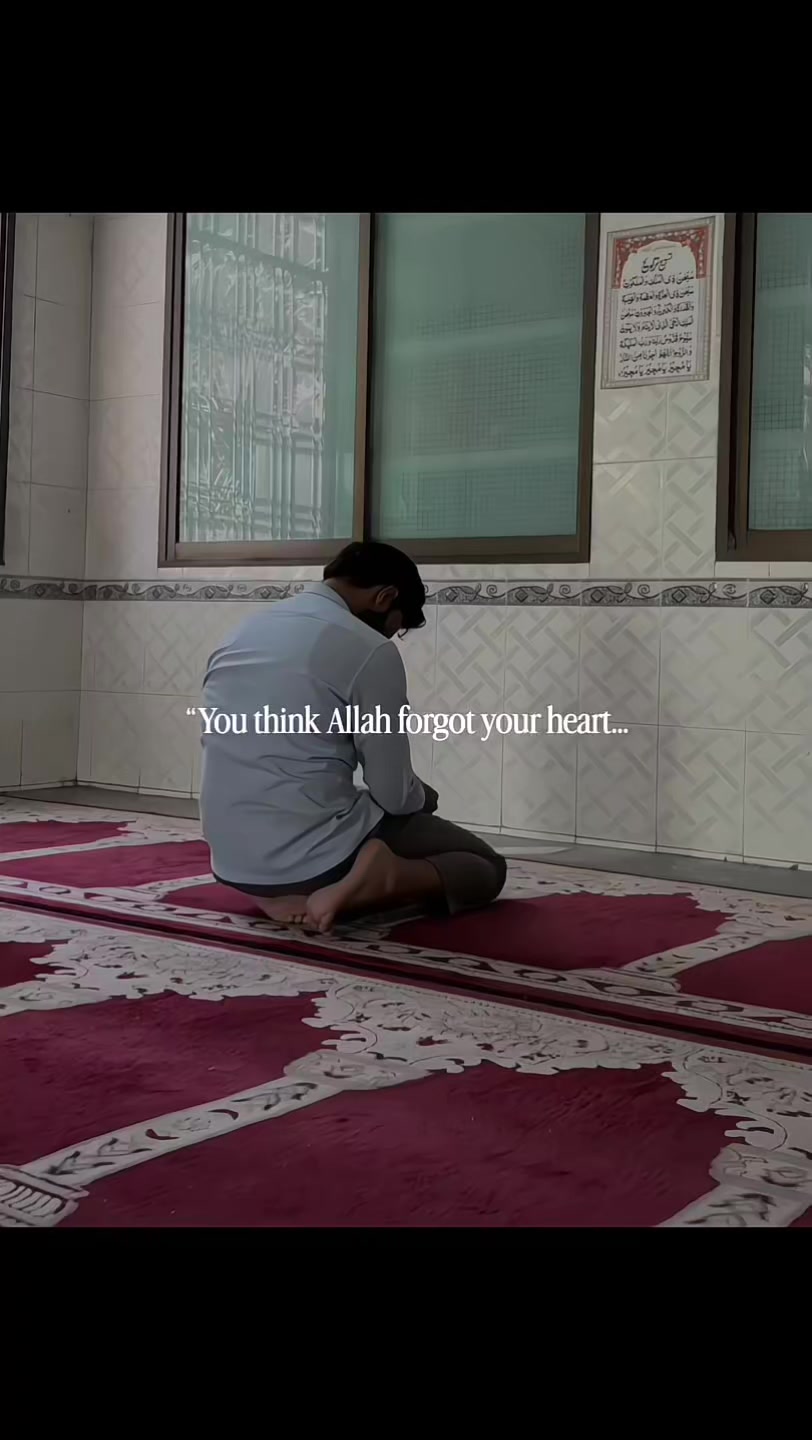 @Halal Mohsin