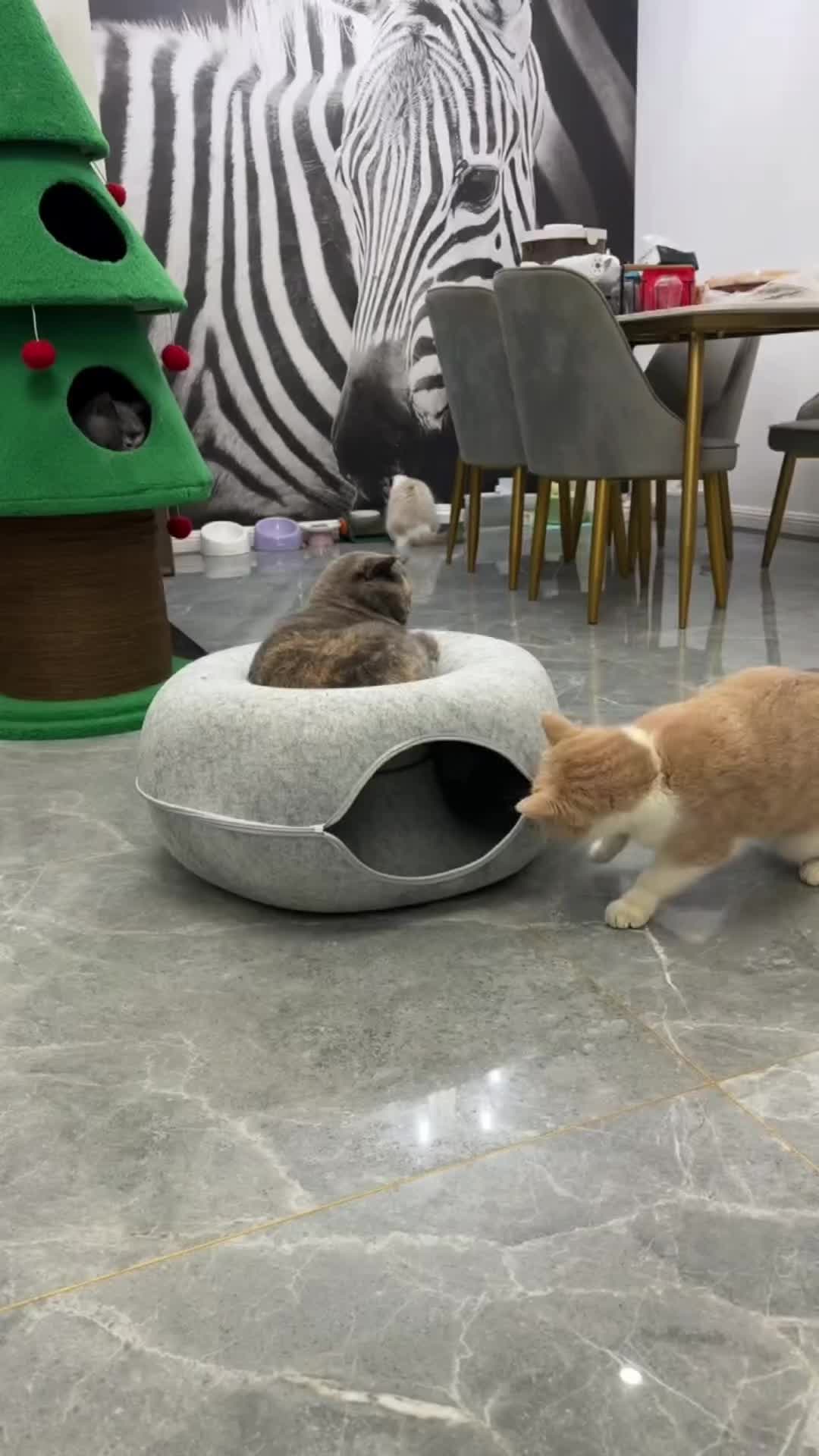 @fluffypet