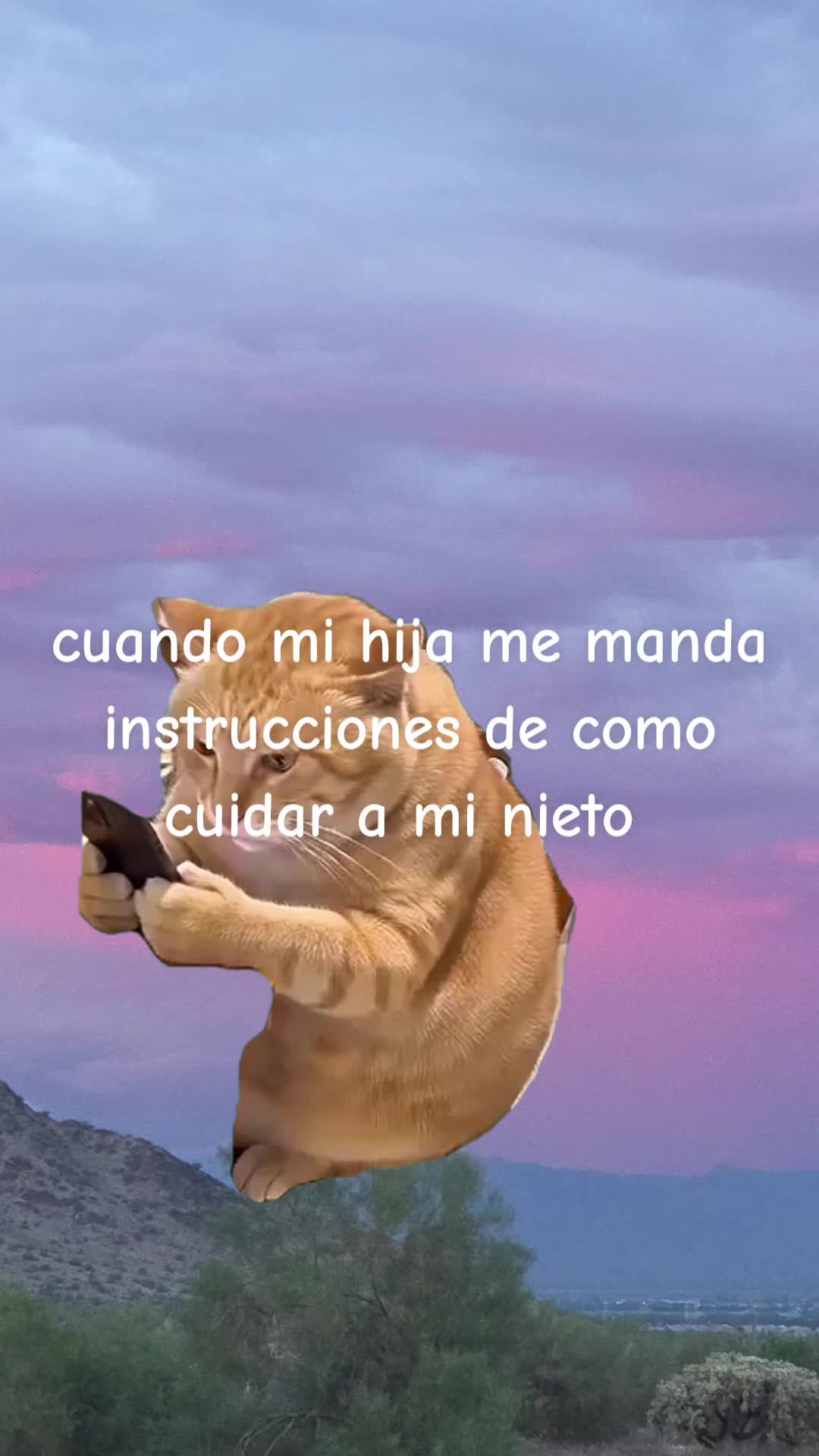@Maribel 🌻