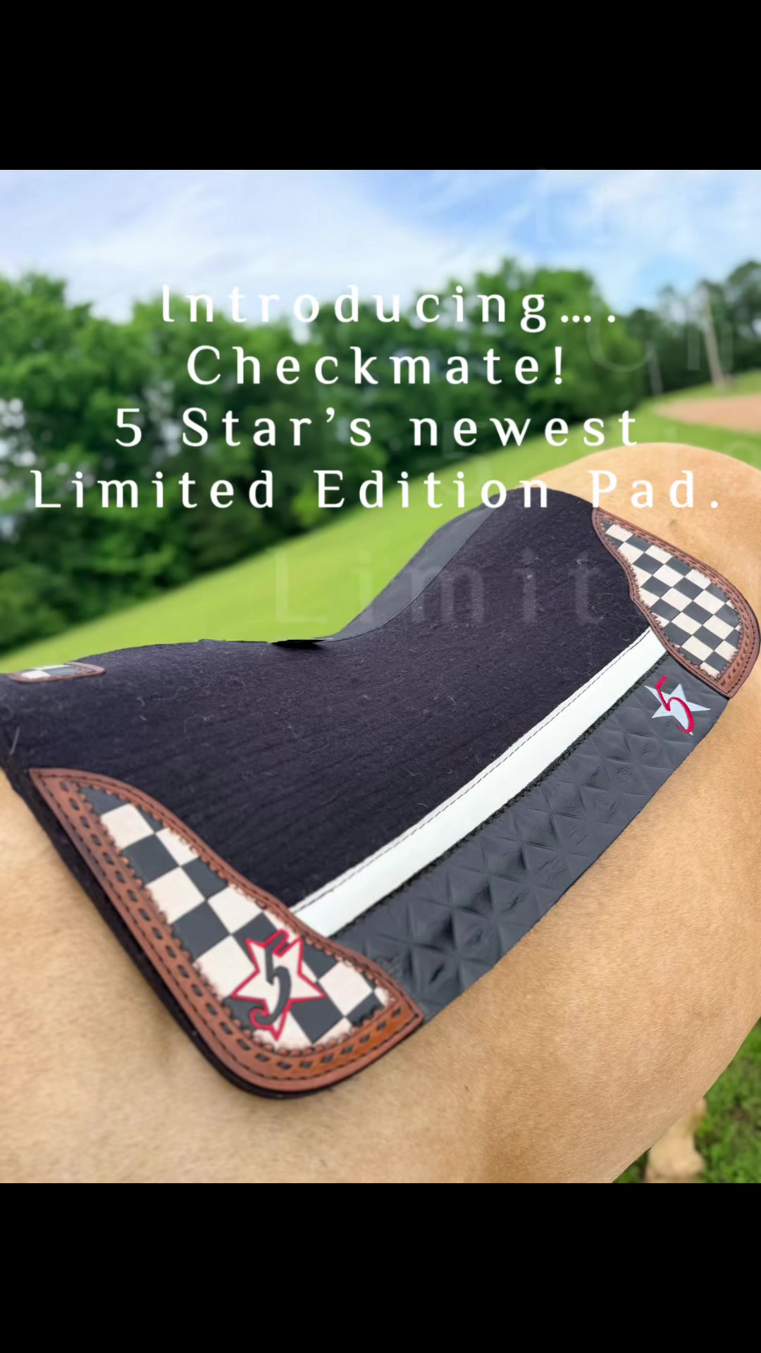 @5 Star Equine