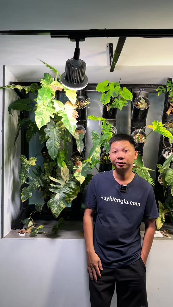 @Huy Kiểng L&aacute;