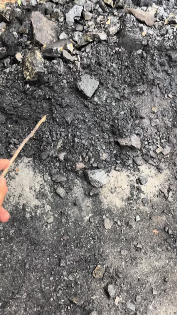 @Саймон Райли