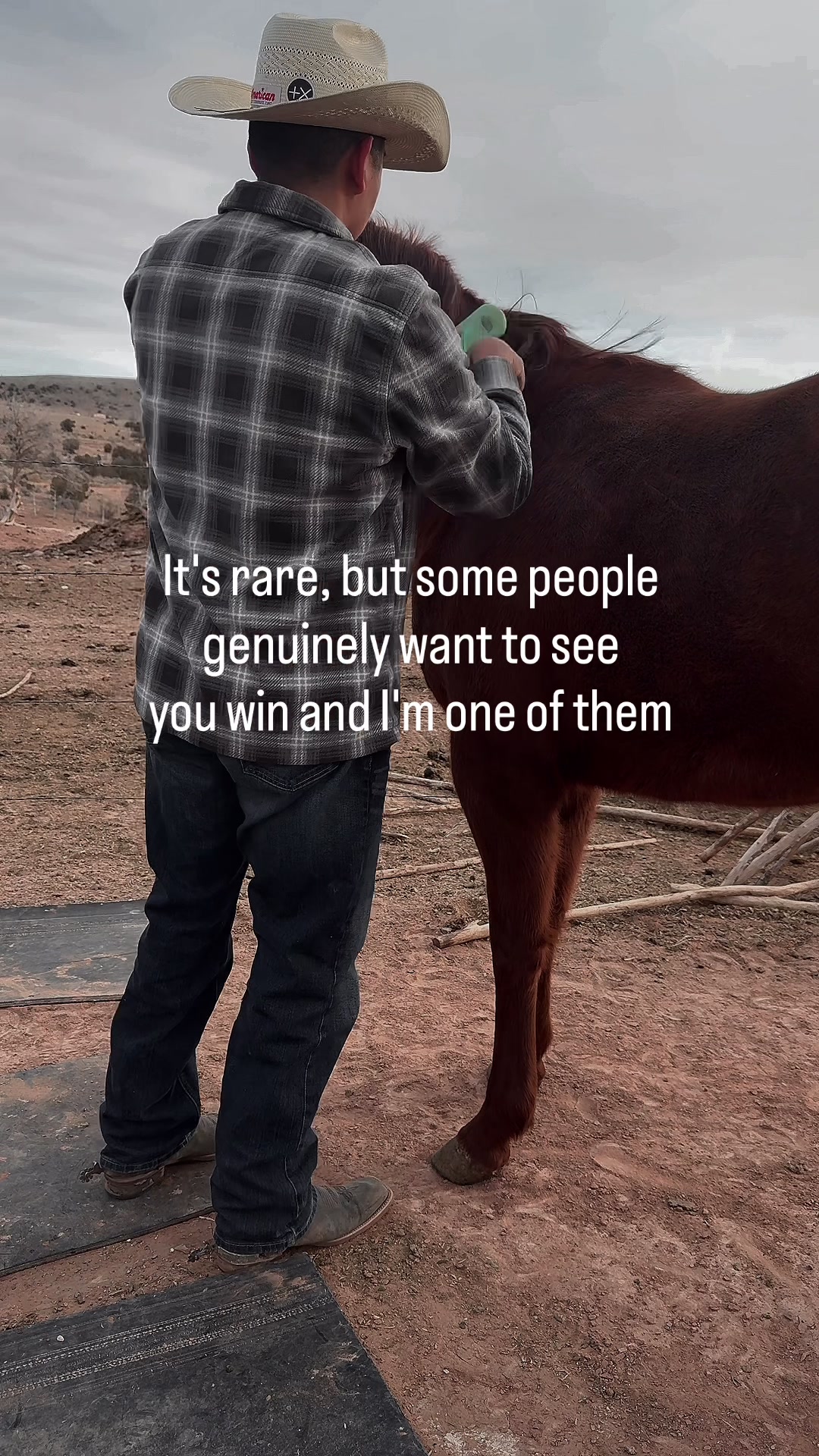 @The Cow Dude