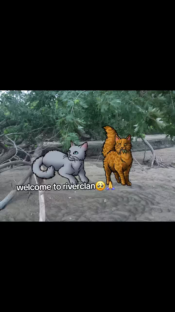 @𝙺𝚛𝚒𝚜 𝚍𝚛𝚎𝚎𝚖𝚞𝚛&bull;⃝⃤★