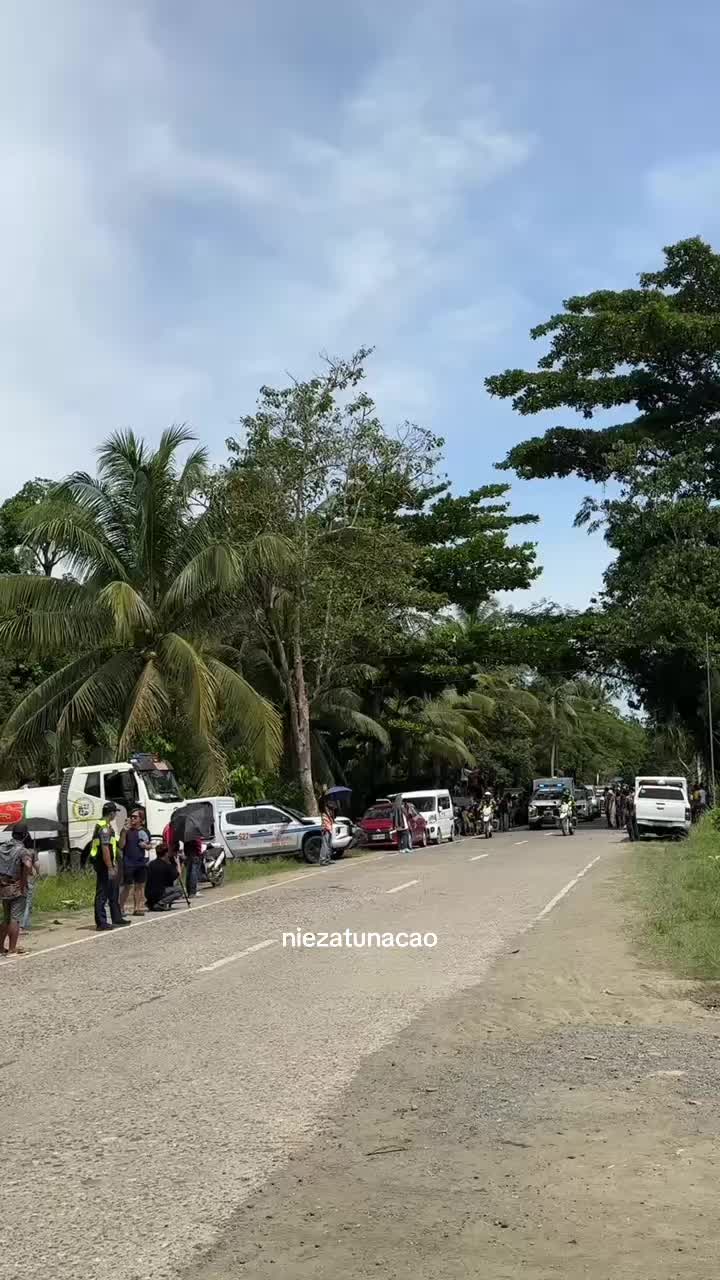 @nieza tunacao