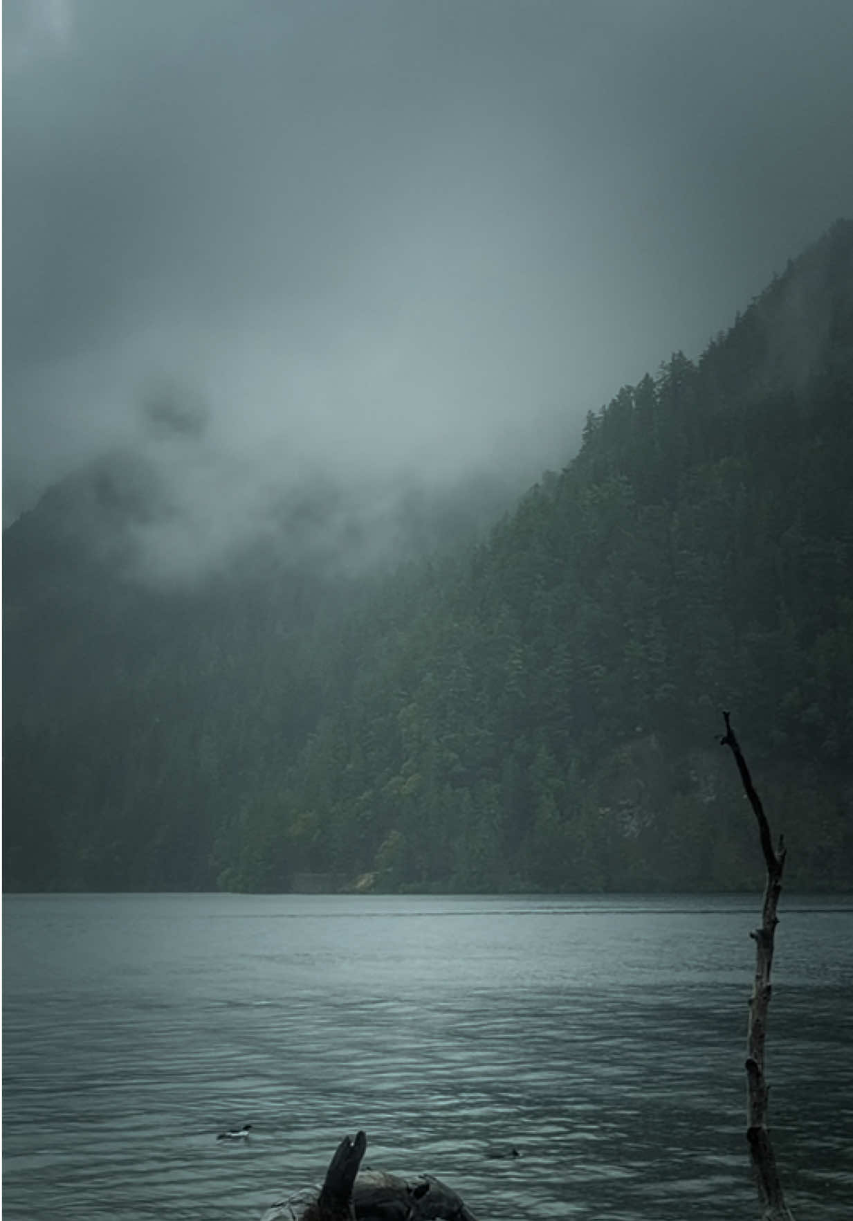 @Jordan PNW Adventures