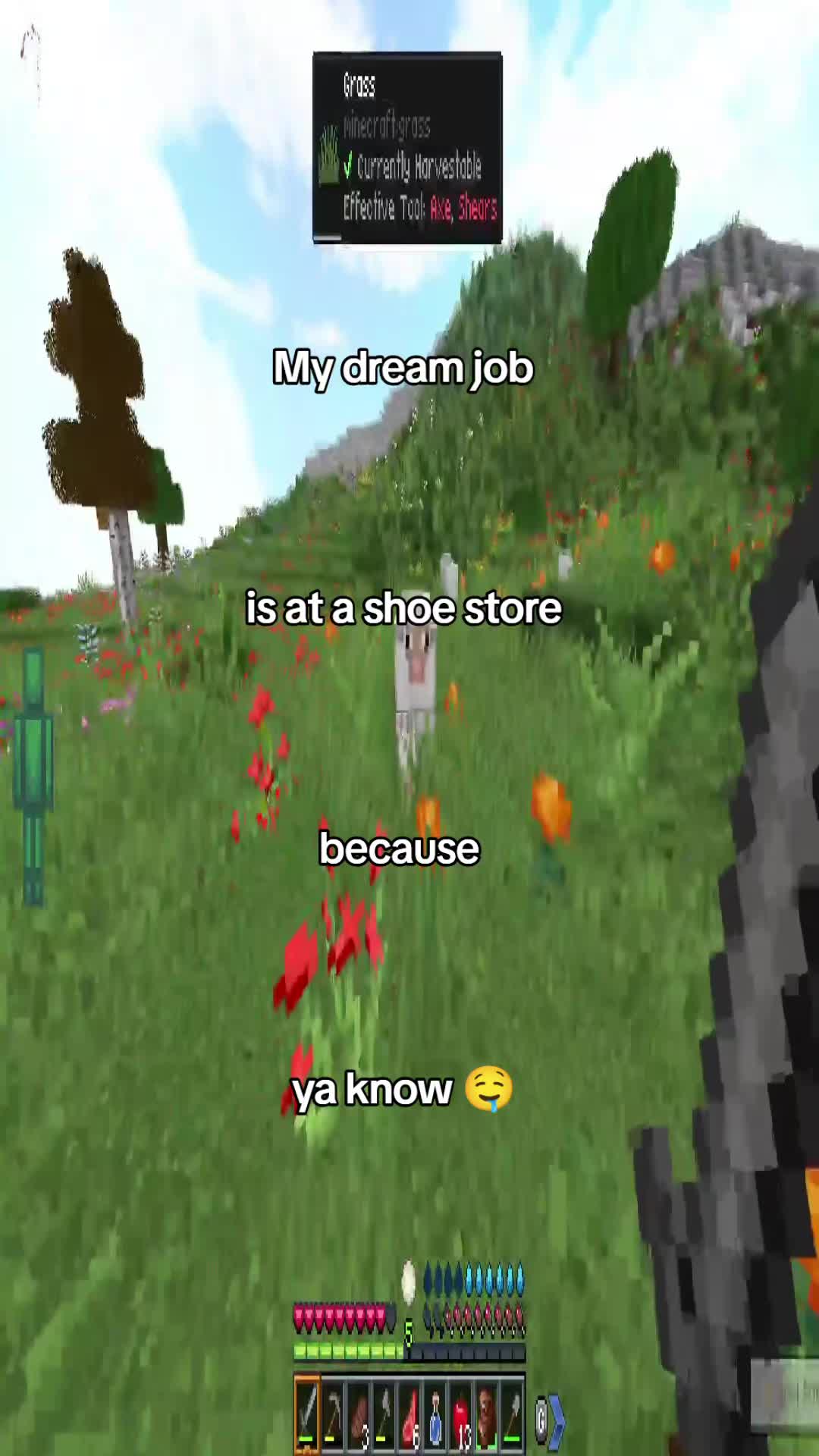 @TheBiggerWigger