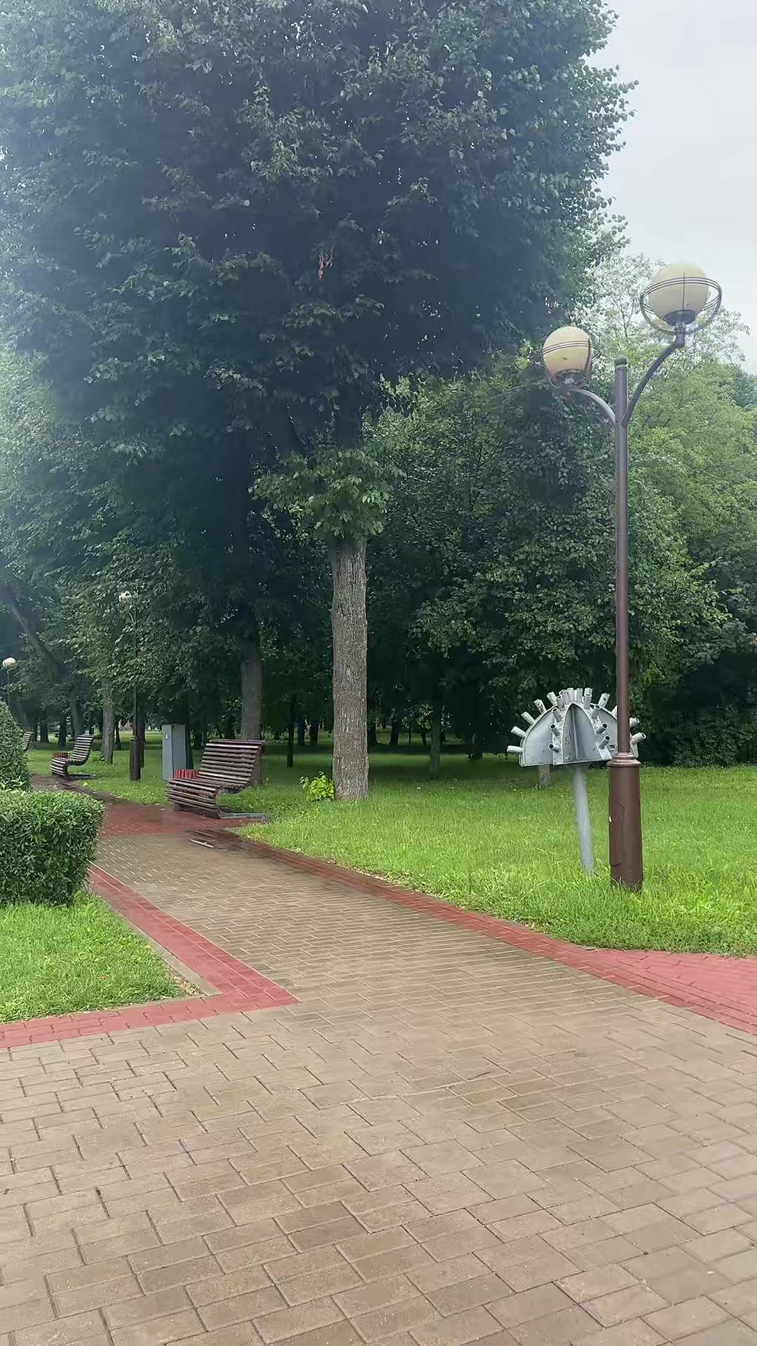 @Елена🇧🇾 Беларусь 🌺