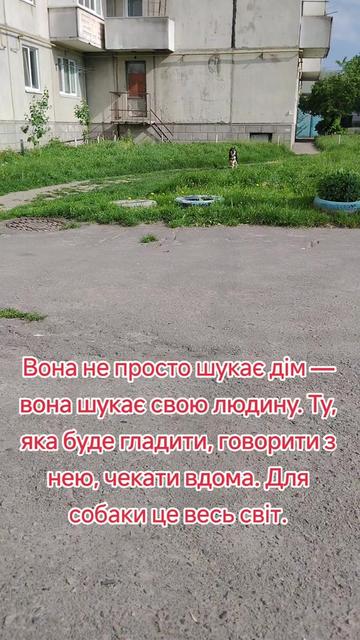 @viktoria)