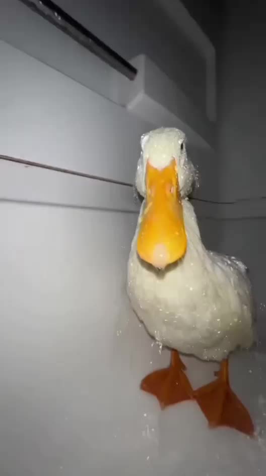 @💖