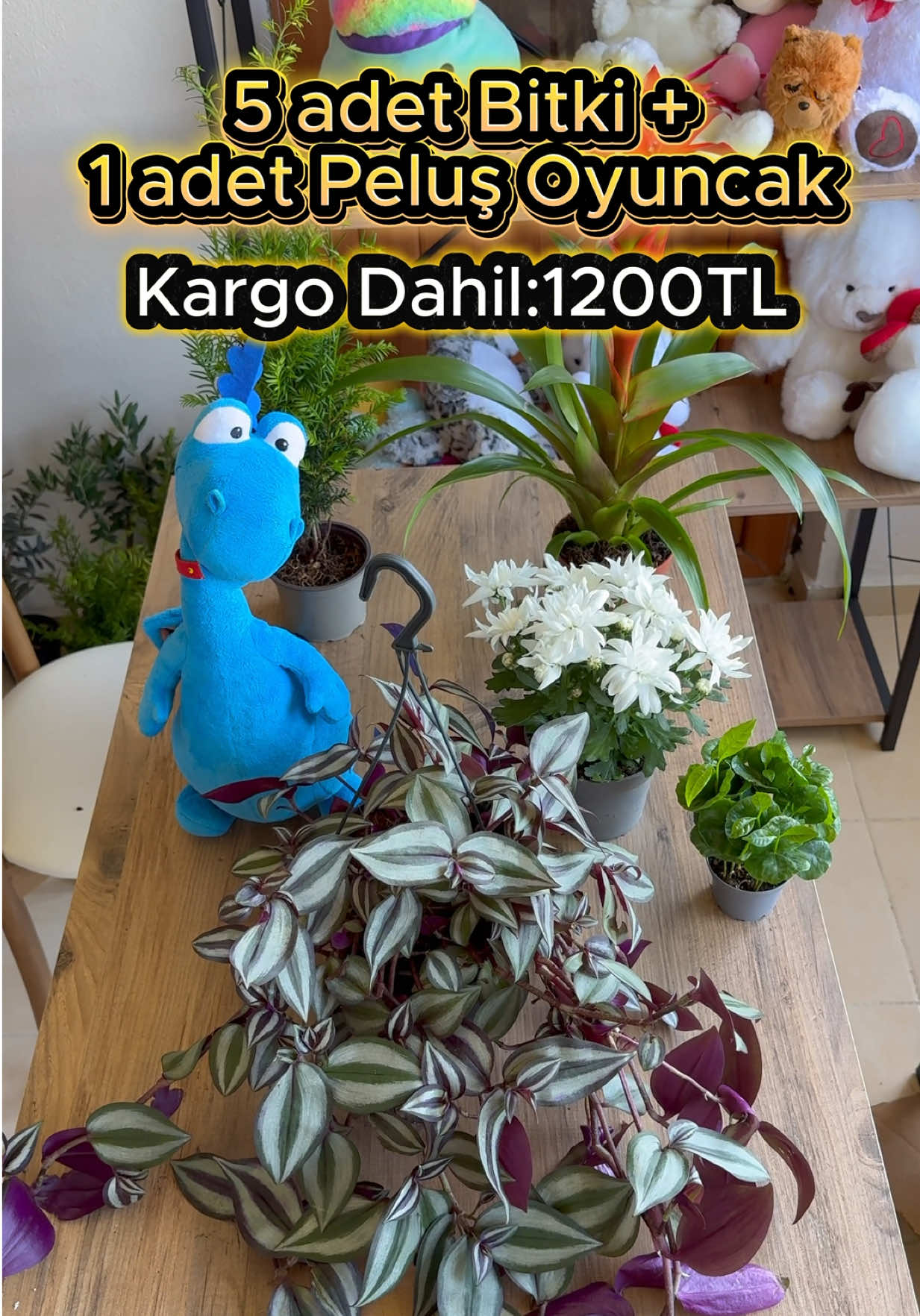 @Saklı bah&ccedil;e Bitkileri