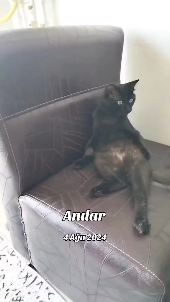 @Pınar TETİK