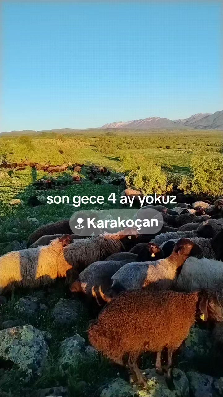 @𝑀𝑒𝓂𝑜_𝒢_𝑅_𝐵_𝒵_
