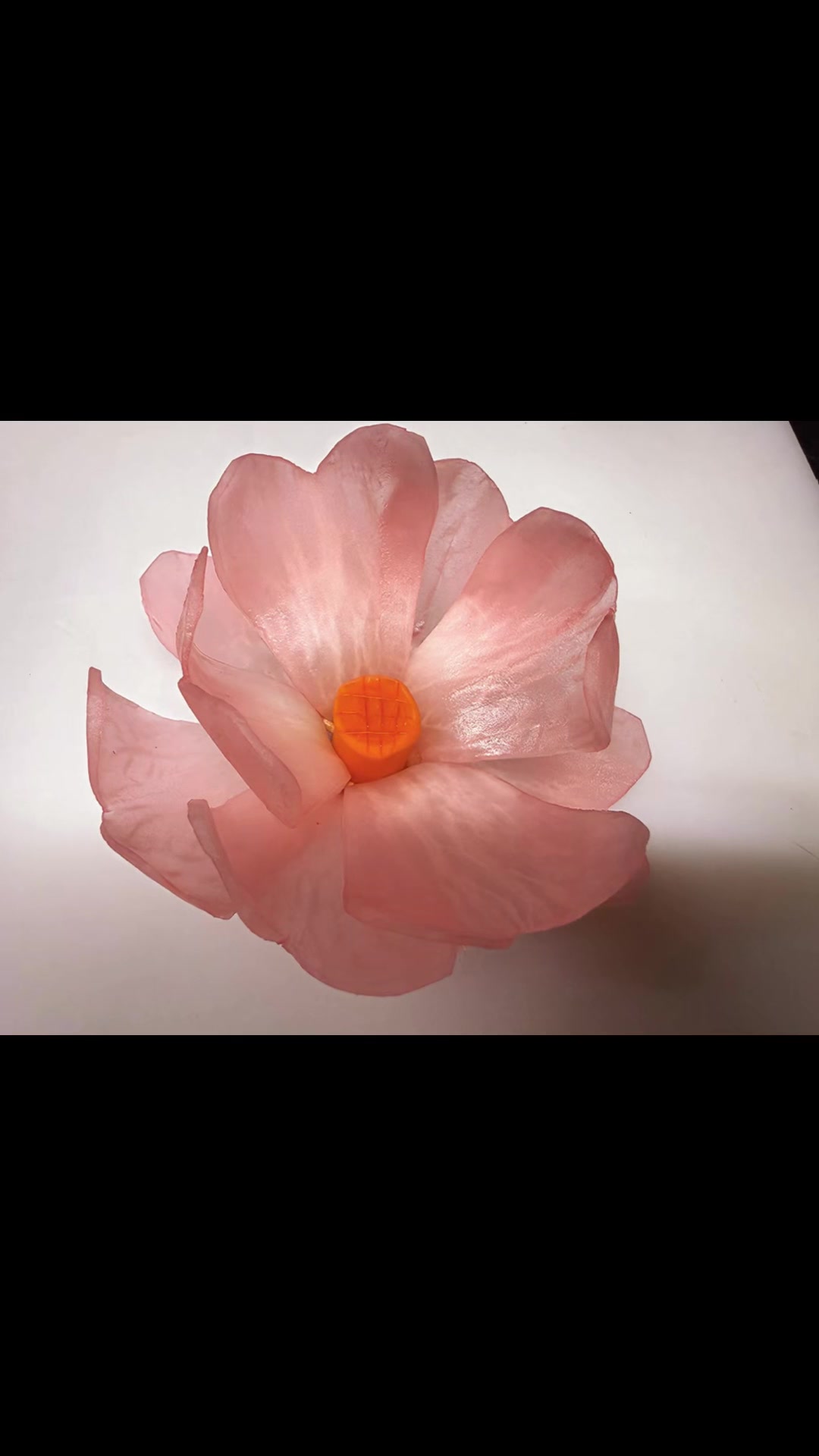 @Nabina_chhantyal