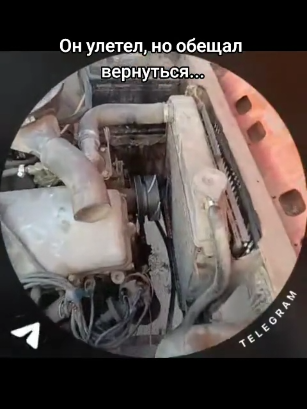@MrDolboloB
