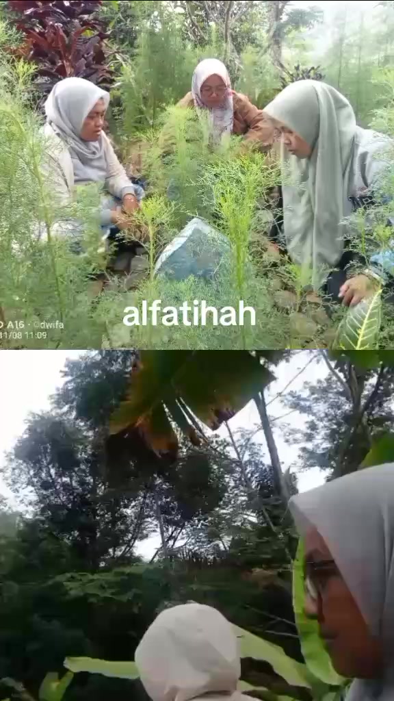 @user673460110027 dwifa