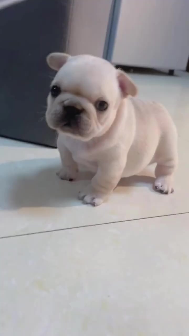 @Jose.ë