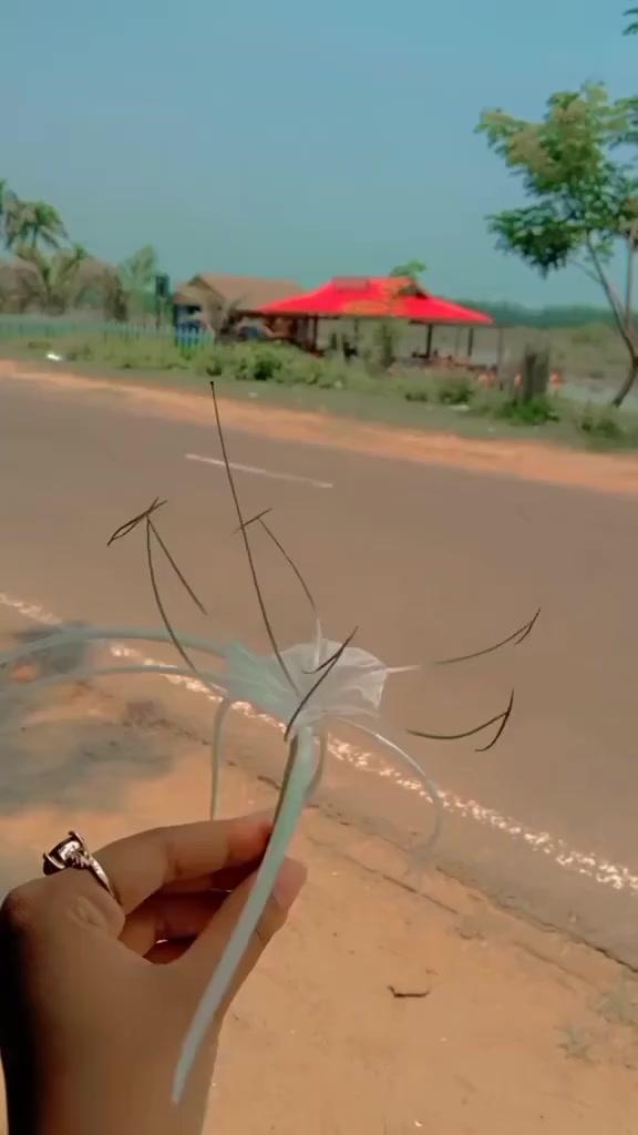@🦋🦋দ্বীপান্বিতা🦋🦋