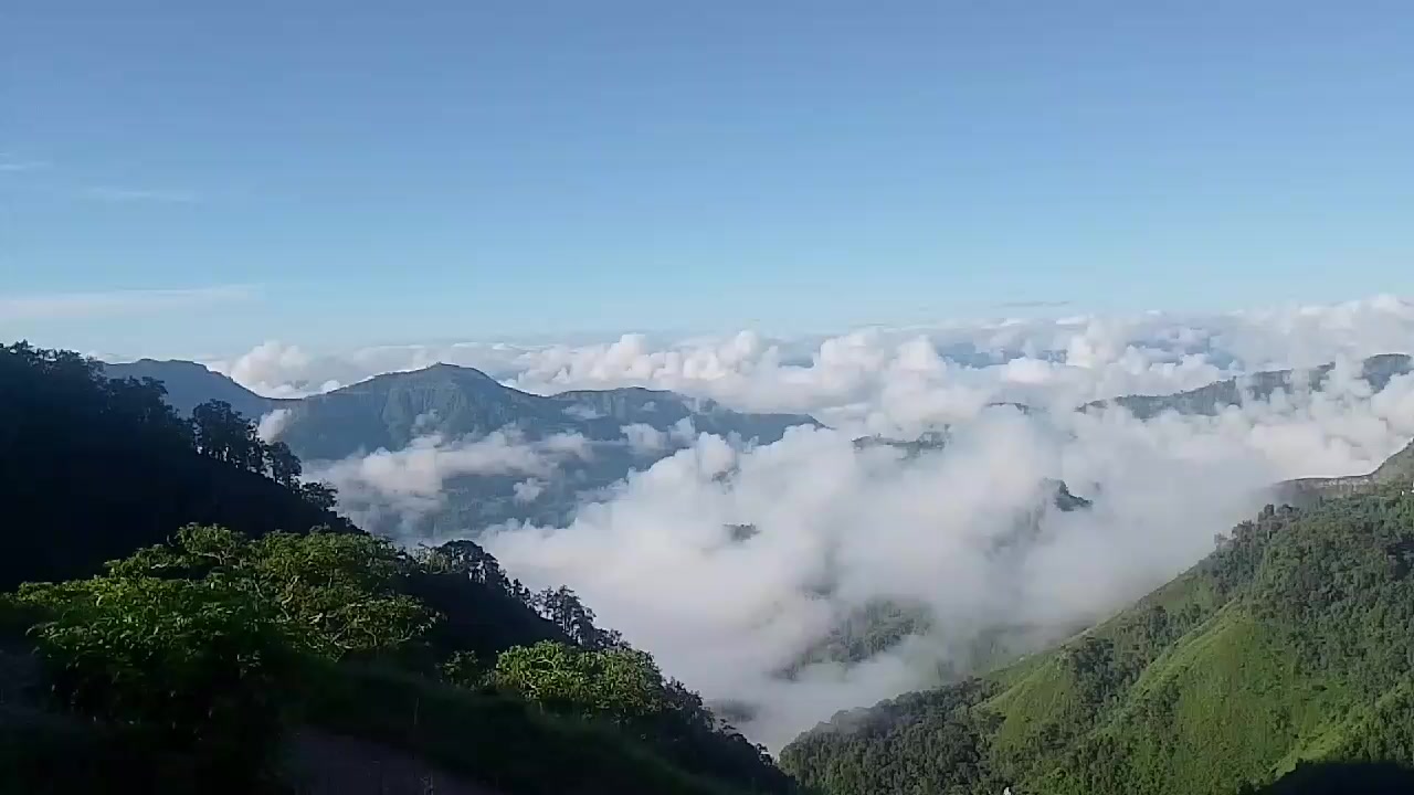 @Samar Gurung