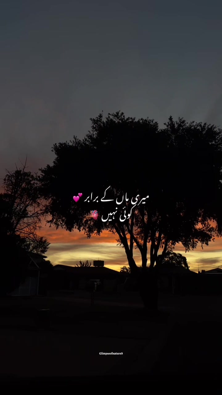 @Amna Mir❥