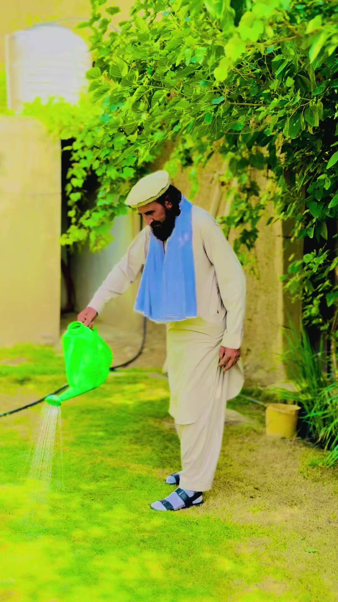@Ghazi Amanullah