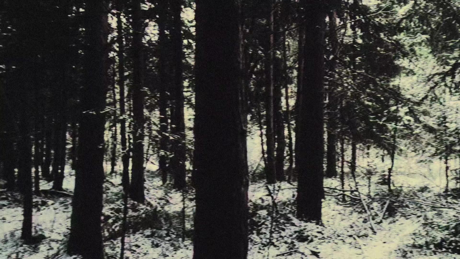 @sayonara,clannad