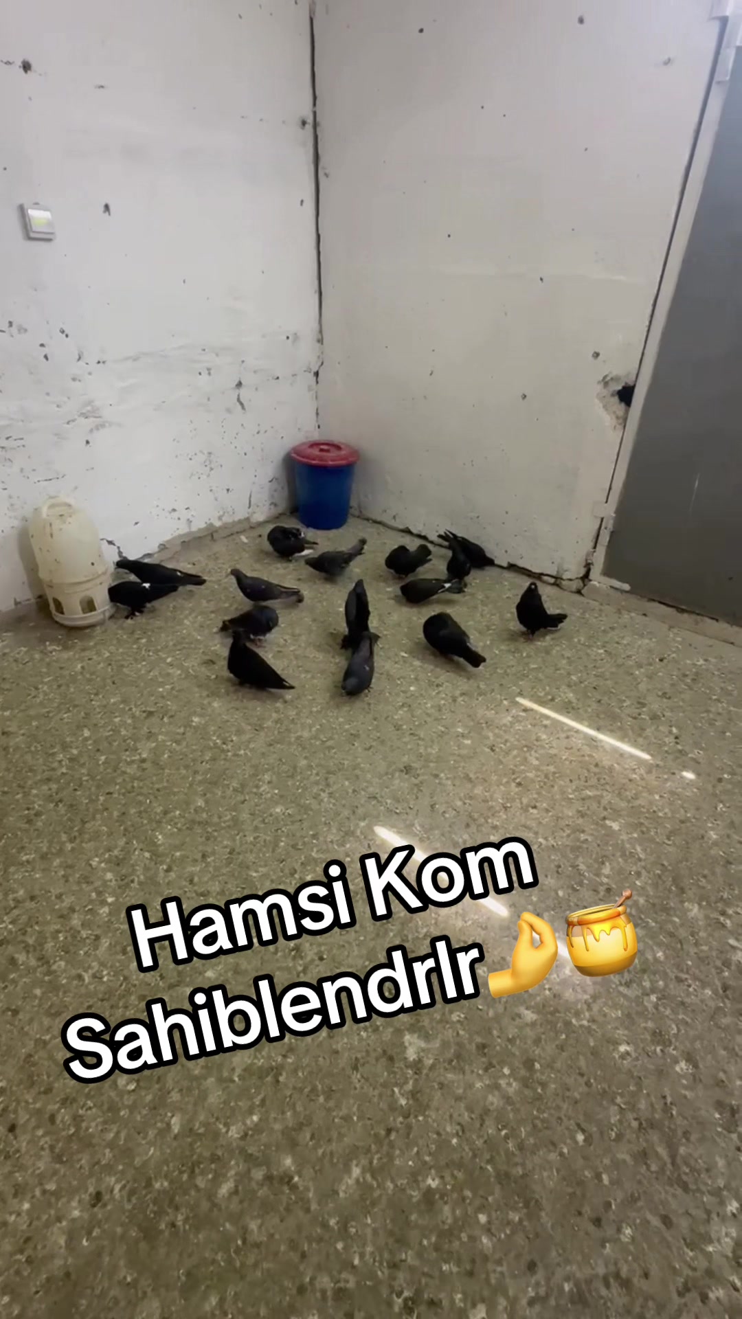 @XAM_BAZ🤘