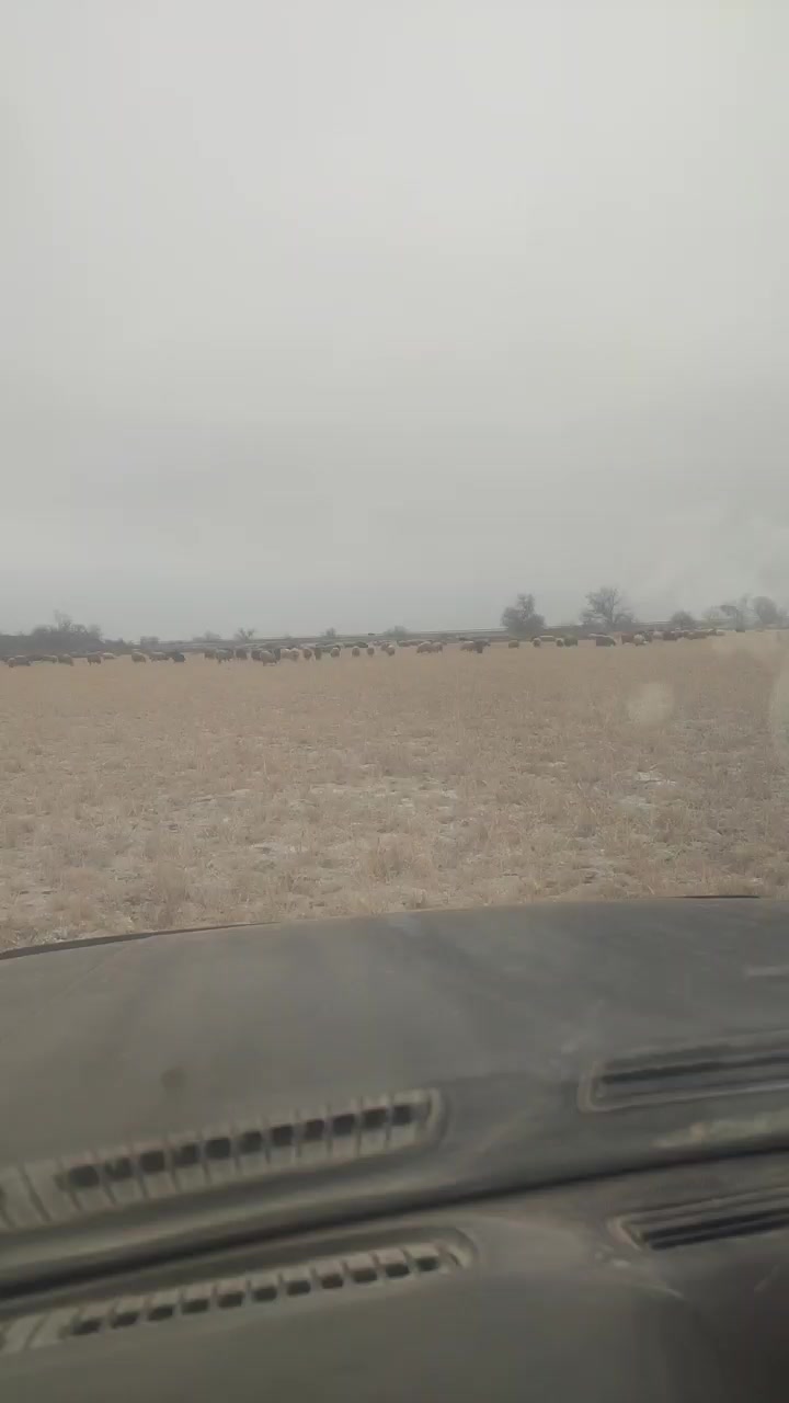 @Бекзат Багдатулы