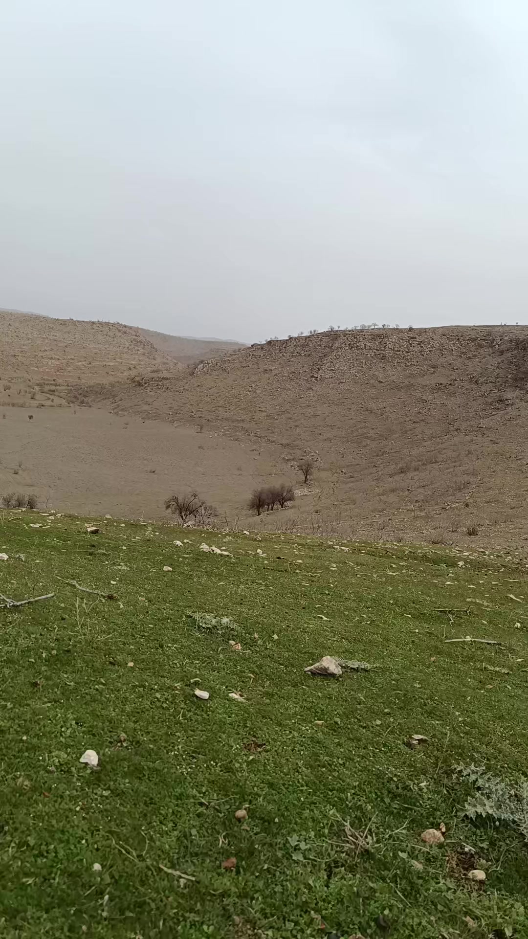 @Abdurrahim gül