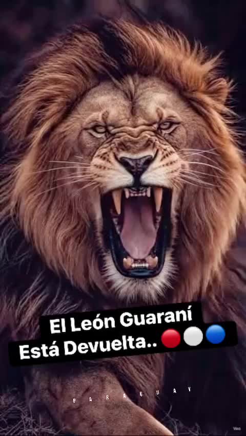 @GSELRIG 🌙🌻🐈⬛