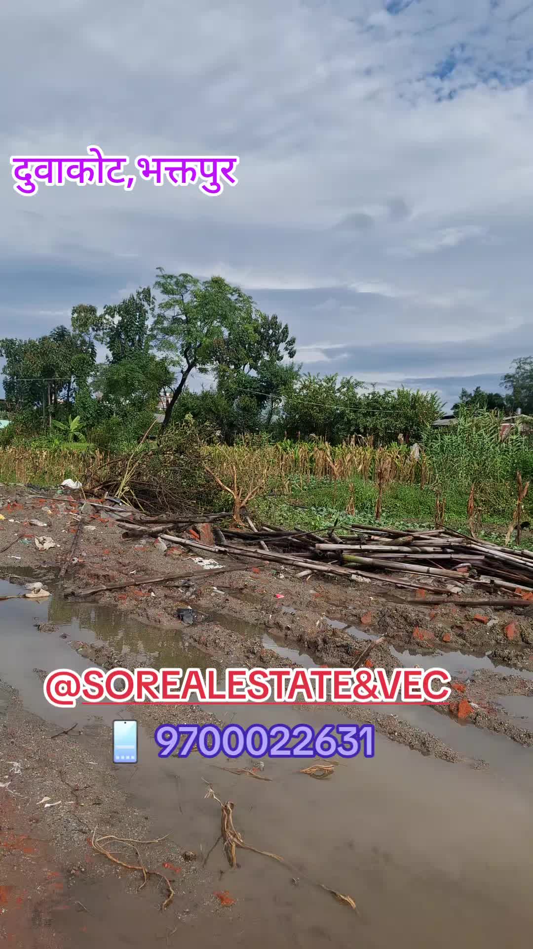 @S.O Real Estate Marketing