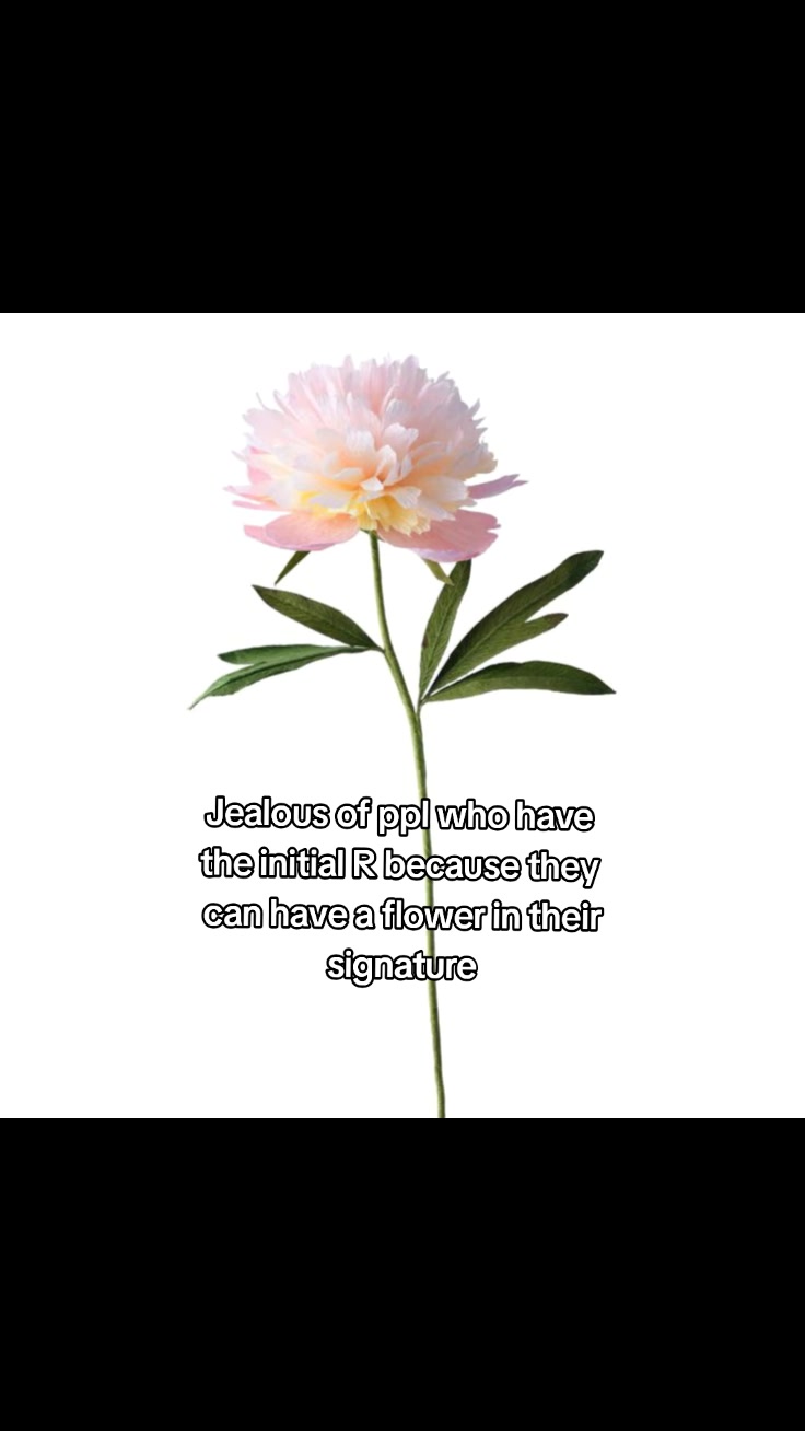 @✿︎𝗩֢̤𝗂𝗈𐇽ᥣᧉᧉ𝗇𐇽