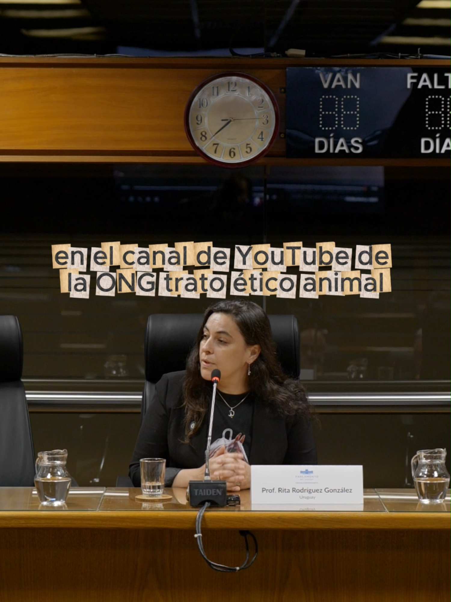 @Rita RodGon