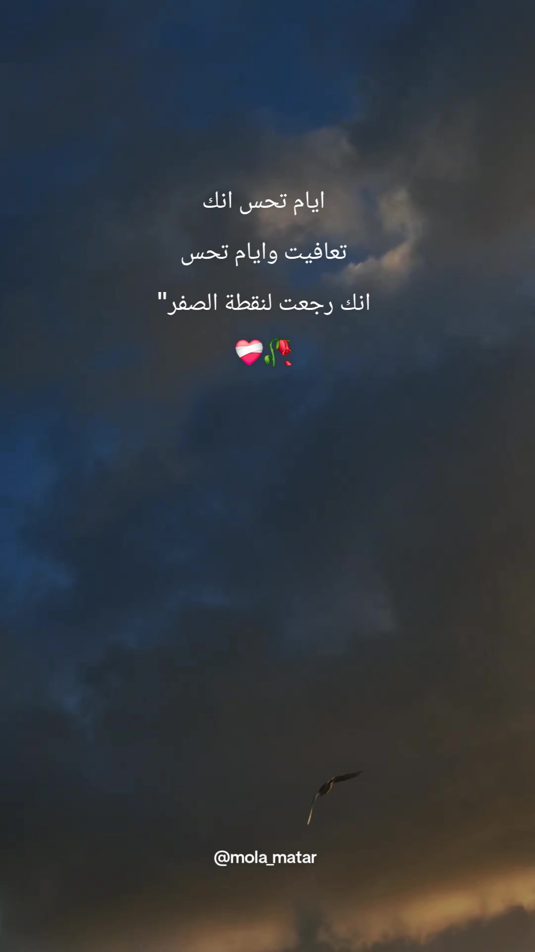 @MolaMatar