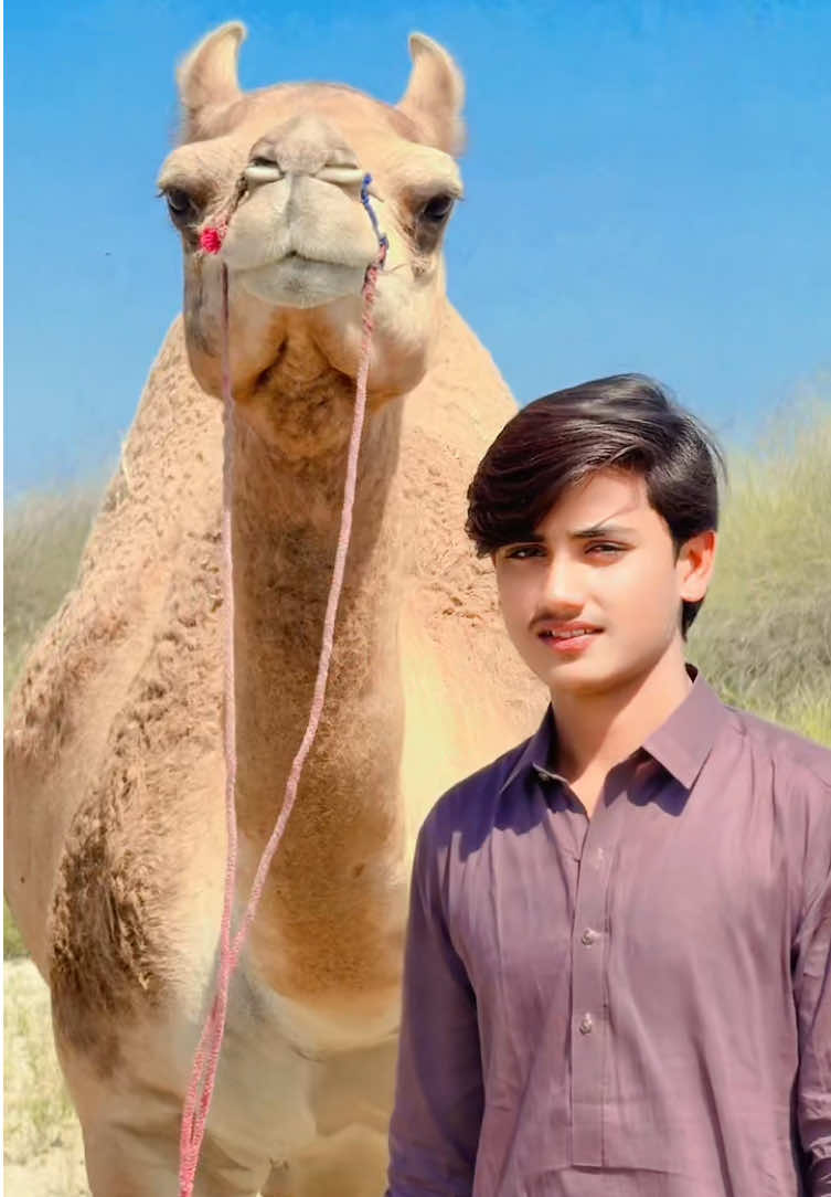 @Ali