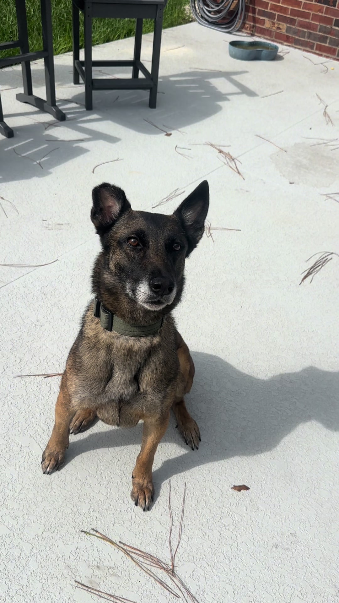 @K9.corporal