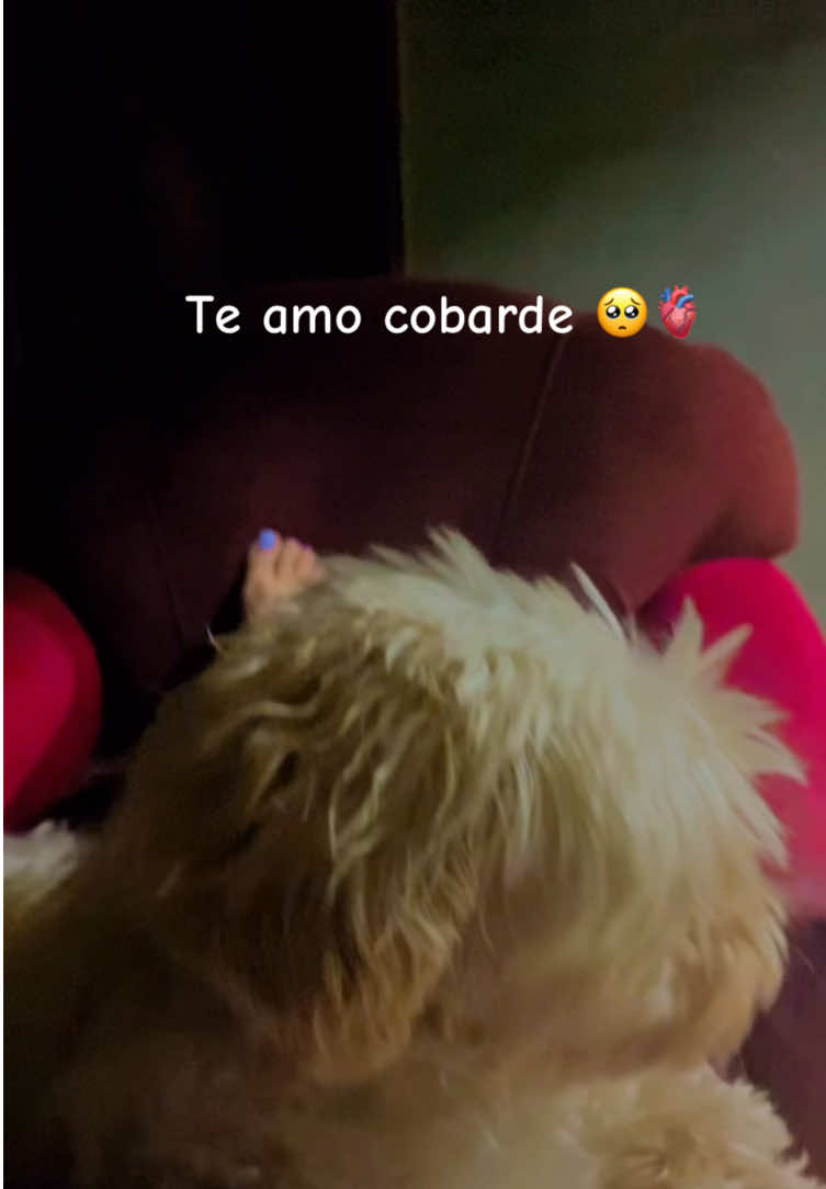 @Zzarahacosta