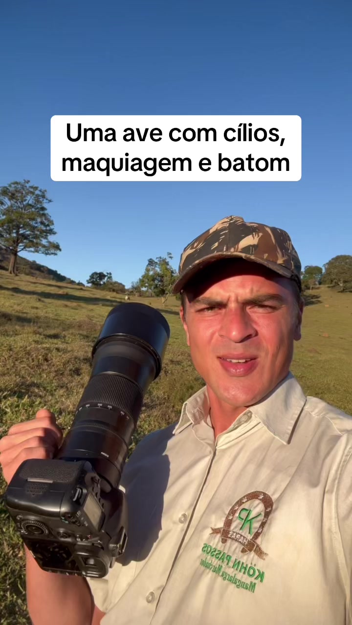 @Vin&iacute;cius K&ouml;hn P&aacute;ssaros
