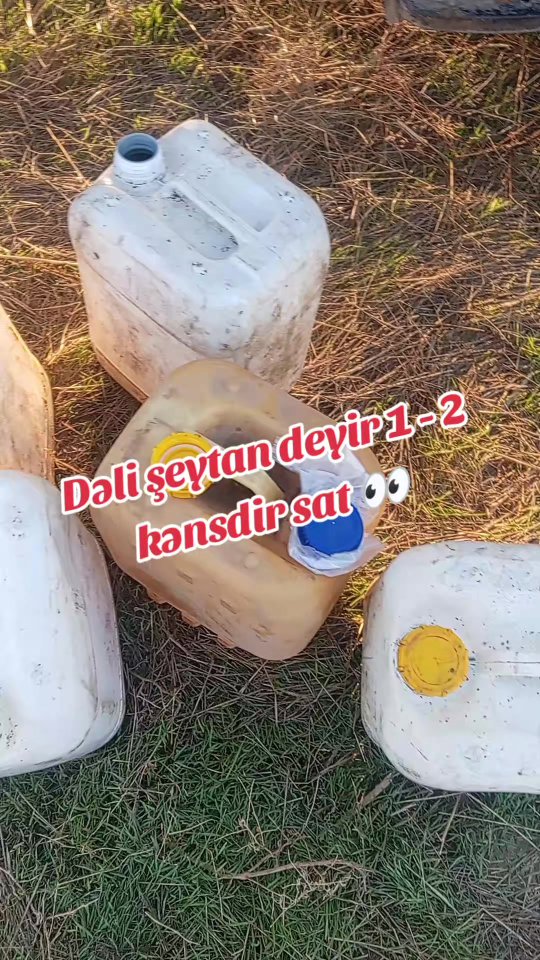 @Traktor_Aləmi
