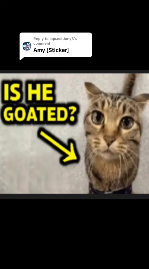 @Oneiros the cat
