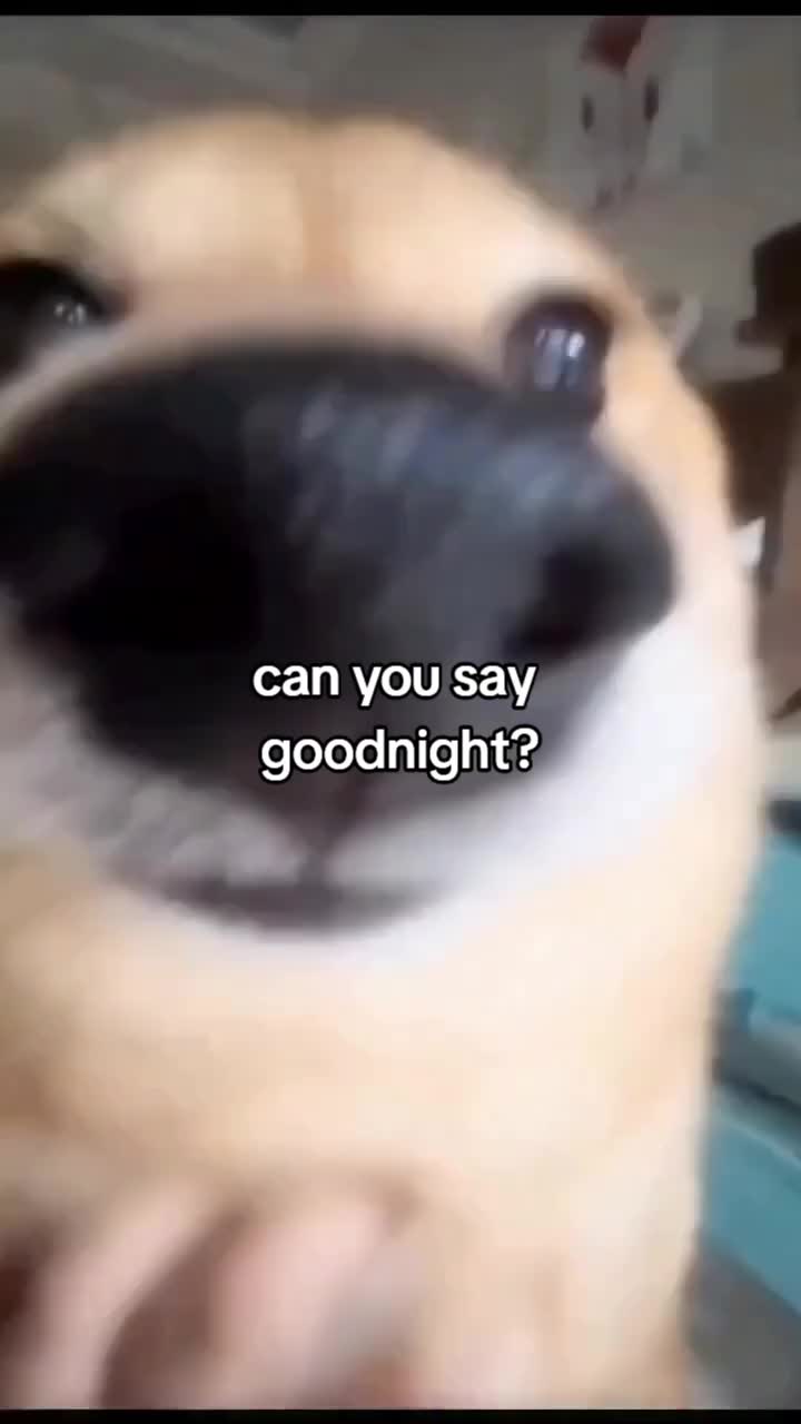 @playboyraccoon
