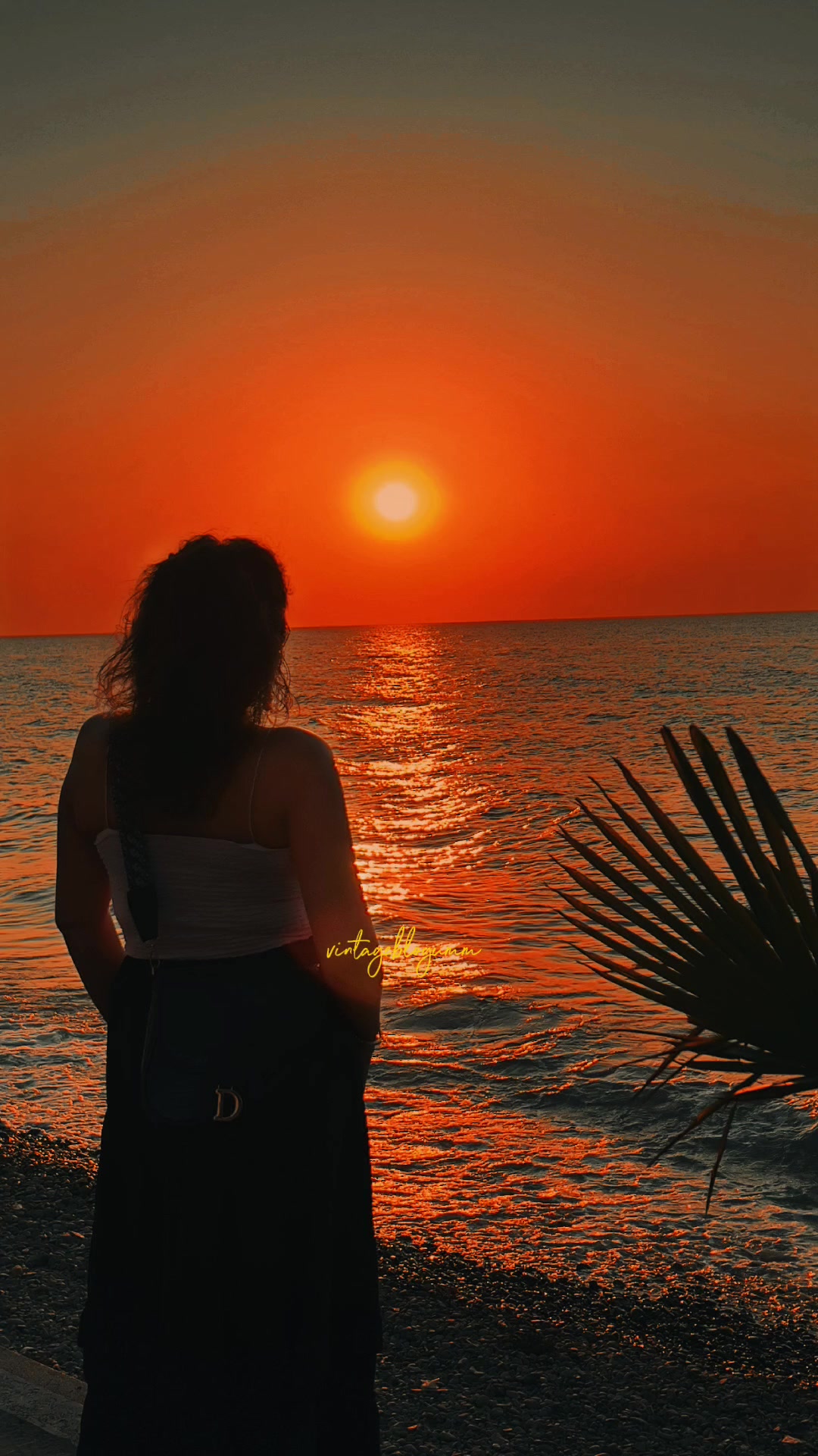 @🦋&Ccedil;ı𝓵𝓰ı𝓷 𝓴𝓾𝓪𝓯&ouml;𝓻🦋