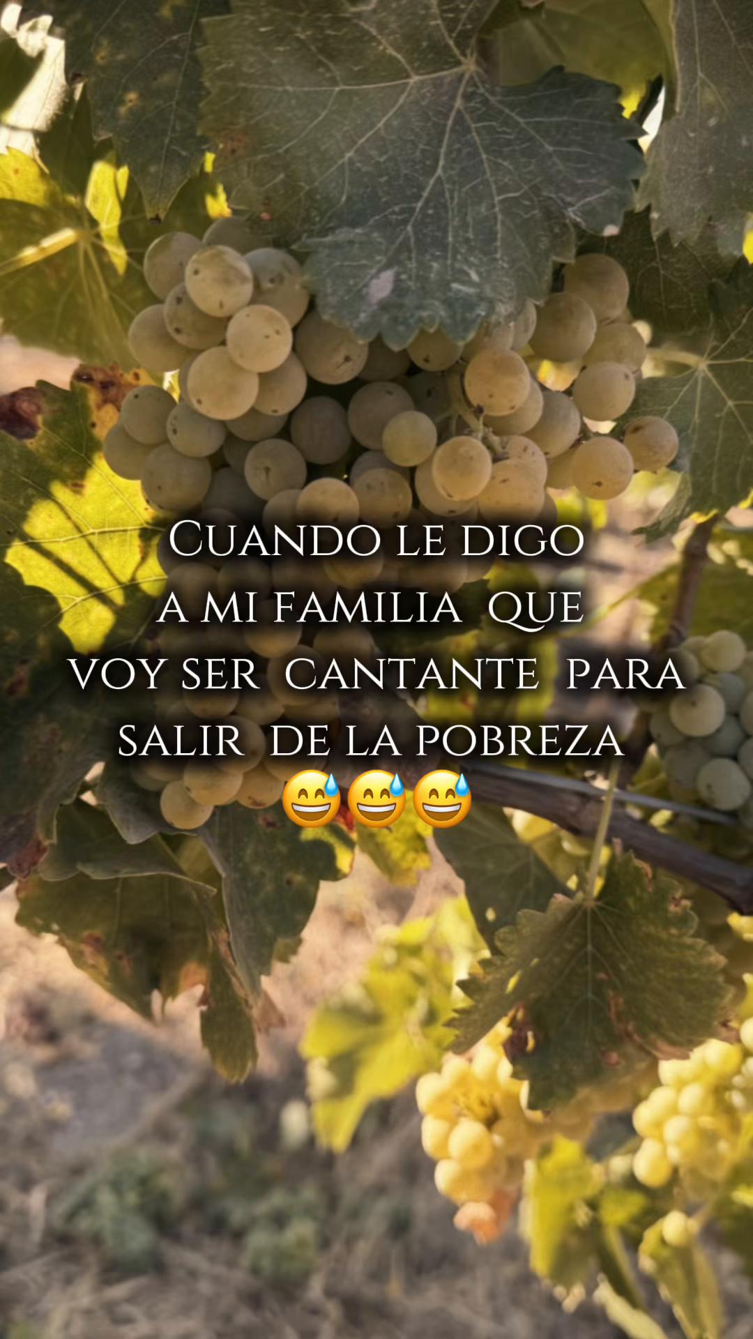 @Sandra Santiago
