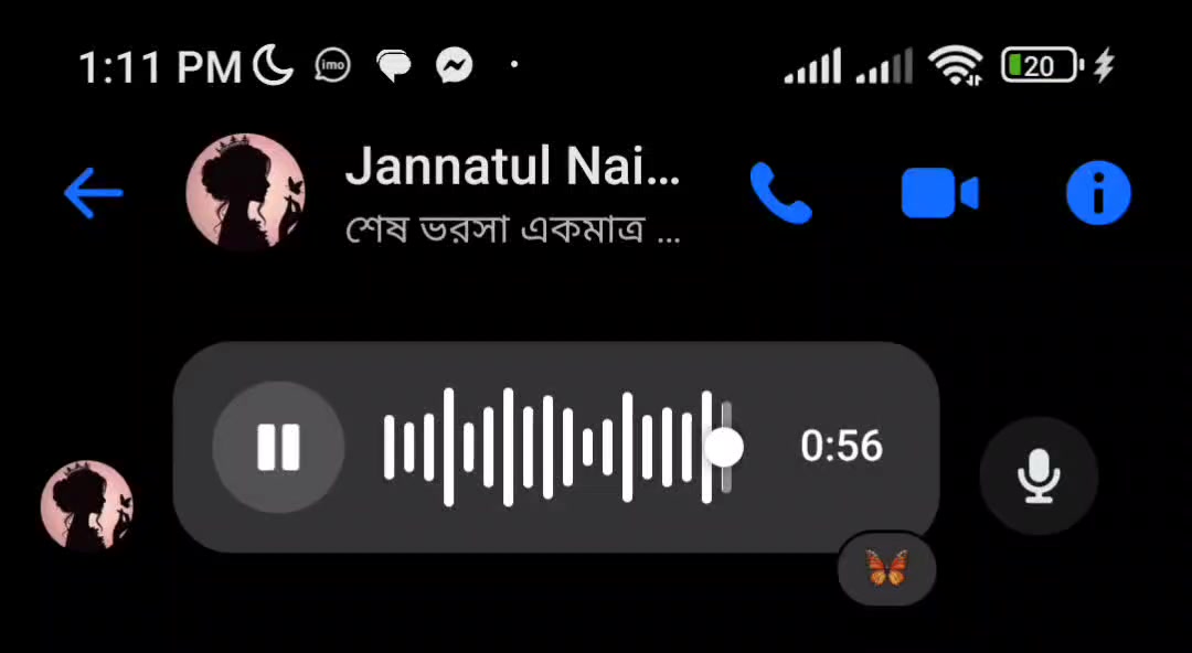 @Voice Of Jannatul