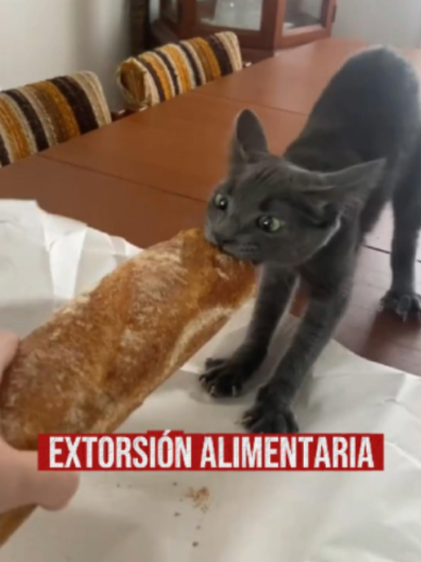 @Las Chubys