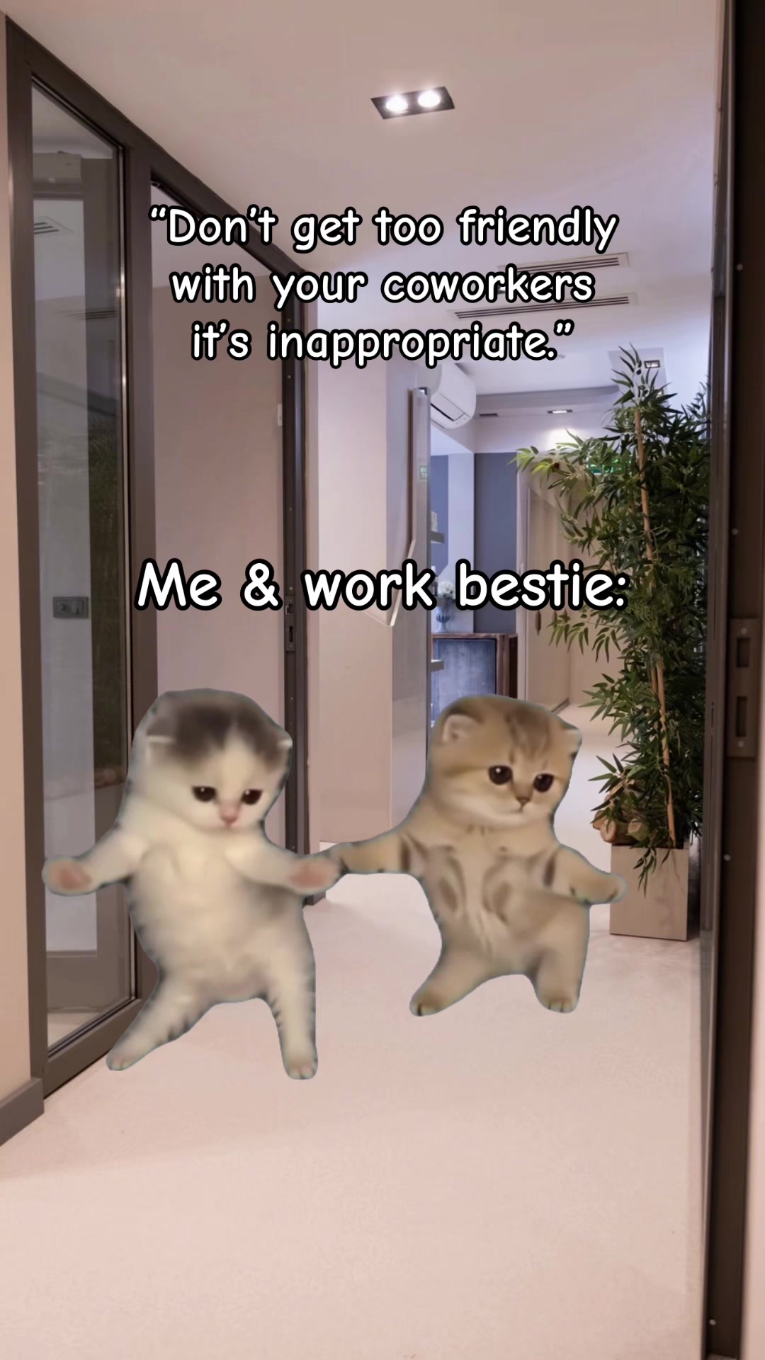 @Stef 💜