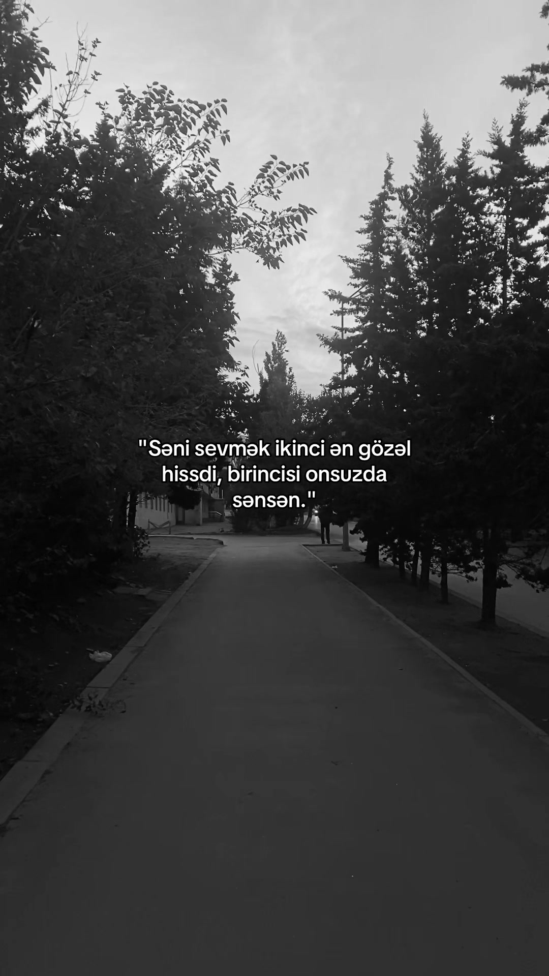 @Zahidzade_
