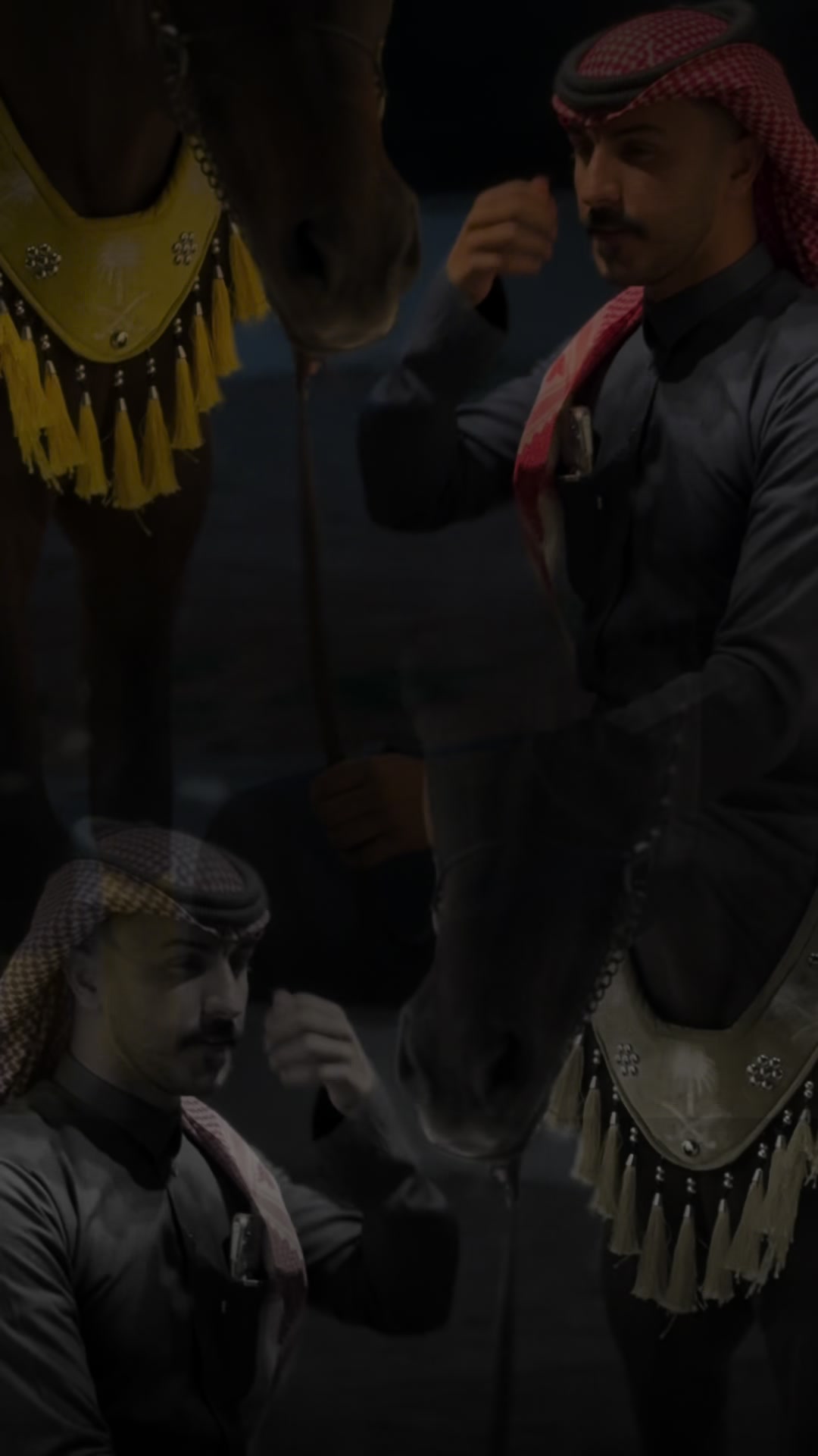 @سلطان بن عراكـ🌟