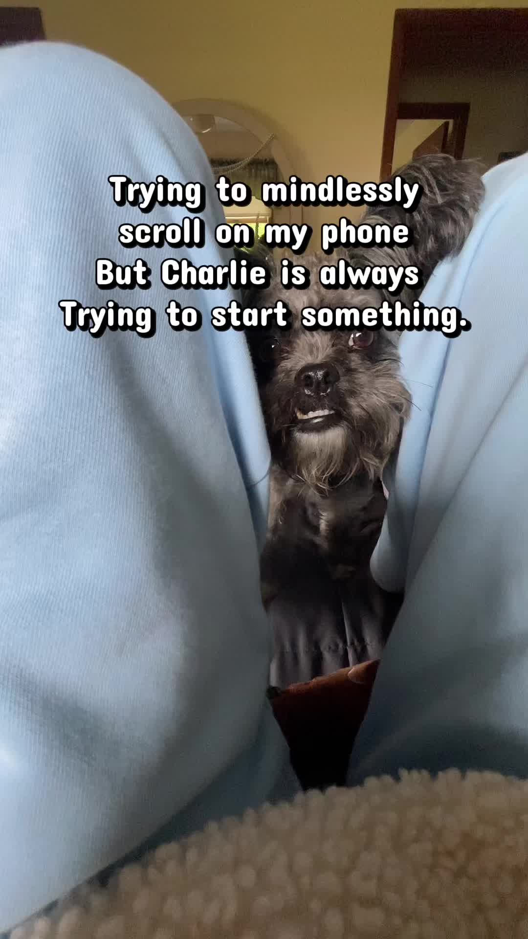 @Critter_Farm